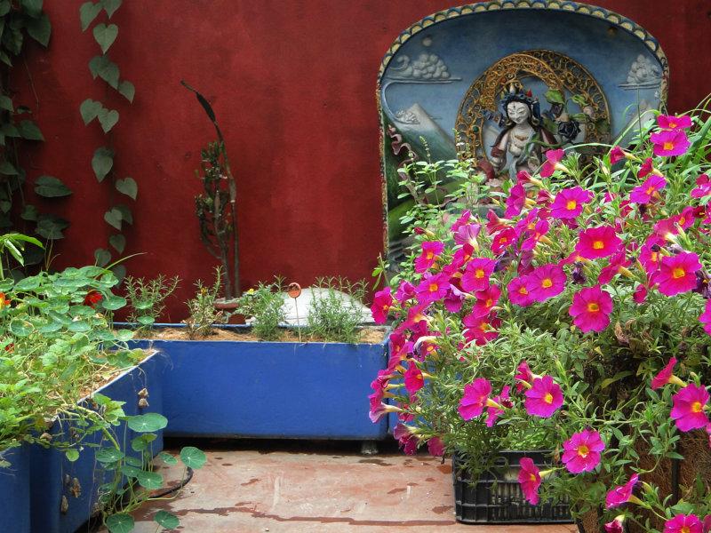 Goa Gourmet Vegetariano apresenta horta orgânica e sustentável